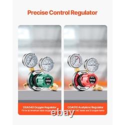 Oxygen Acetylene Torch Kit, Gas Welding Cutting Torch Kit, 12PCS Oxy Acetylene B