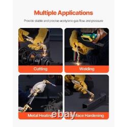 Oxygen Acetylene Torch Kit, Gas Welding Cutting Torch Kit, 12PCS Oxy Acetylene B