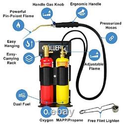 Oxypropane Welding Gas Cutting Torch Kit Flint Lighter, Cylinder Holder, Brazi